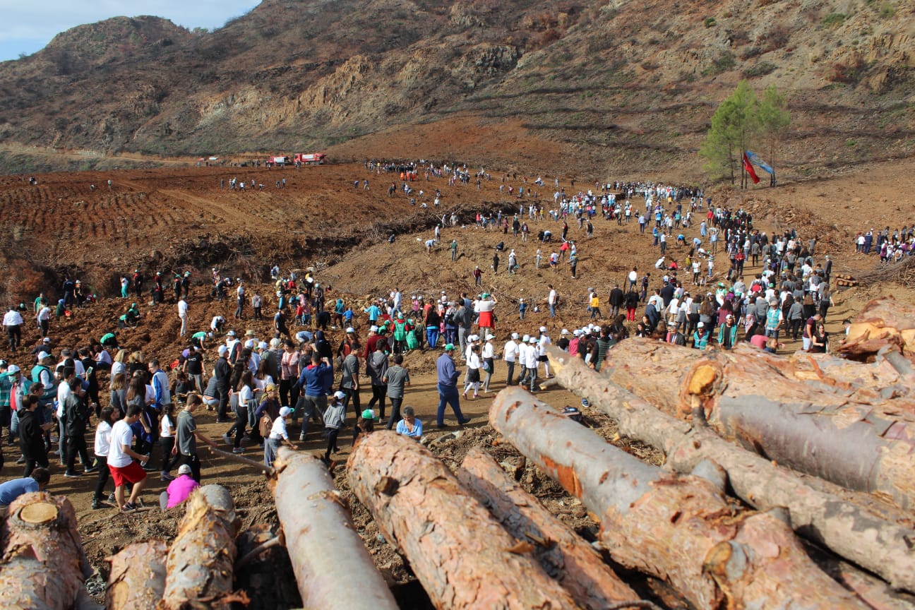 WhatsApp Image 2019-11-11 at 14.41.20